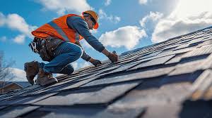 Best Asphalt Shingles Roofing  in Dassel, MN